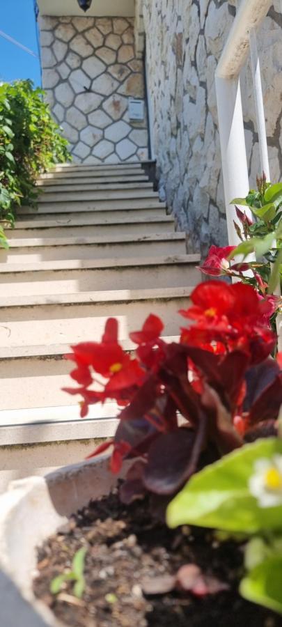 דוברובניק Apartment Lea Bayview מראה חיצוני תמונה